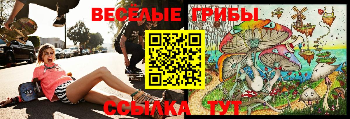 Павловский Посад  Псилоцибиновые грибы мицелий  Вход с VPN 